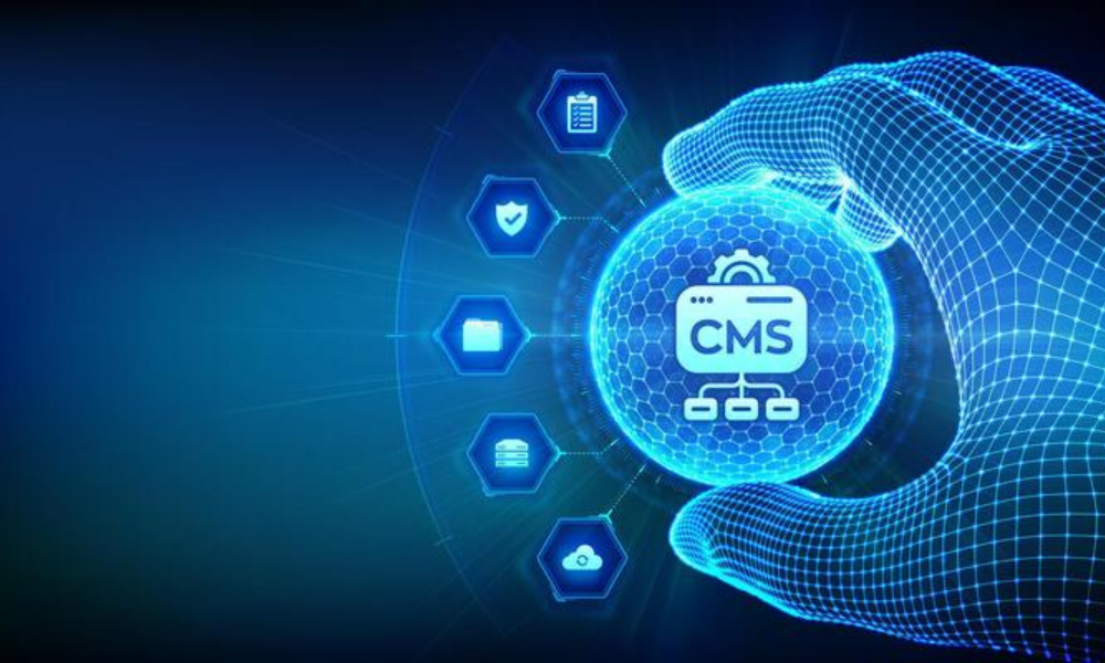 CMS Development Banner